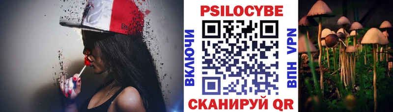 Псилоцибиновые грибы Magic Shrooms  сколько стоит  Заволжье 